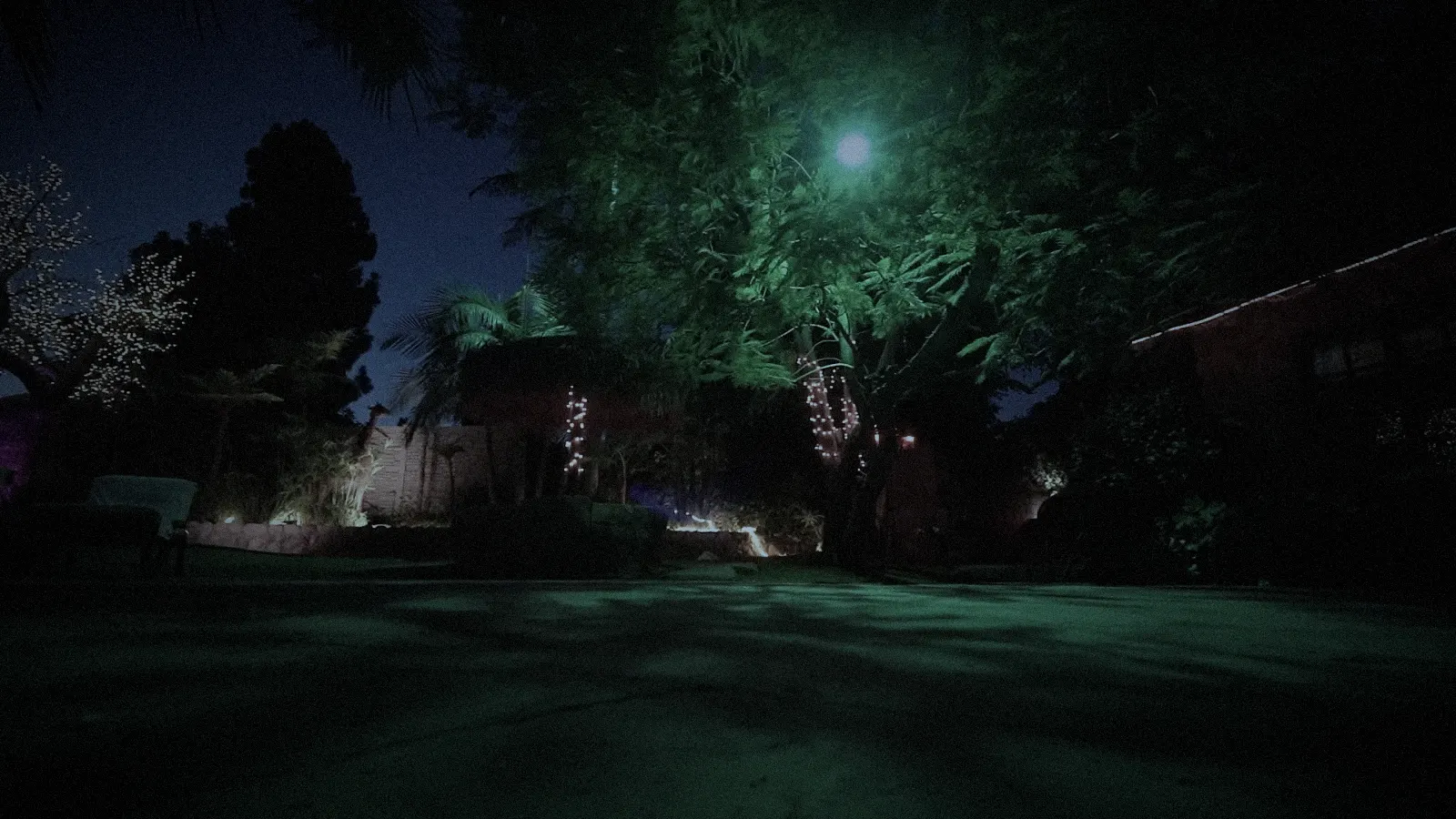 The back garden of the manor at night
