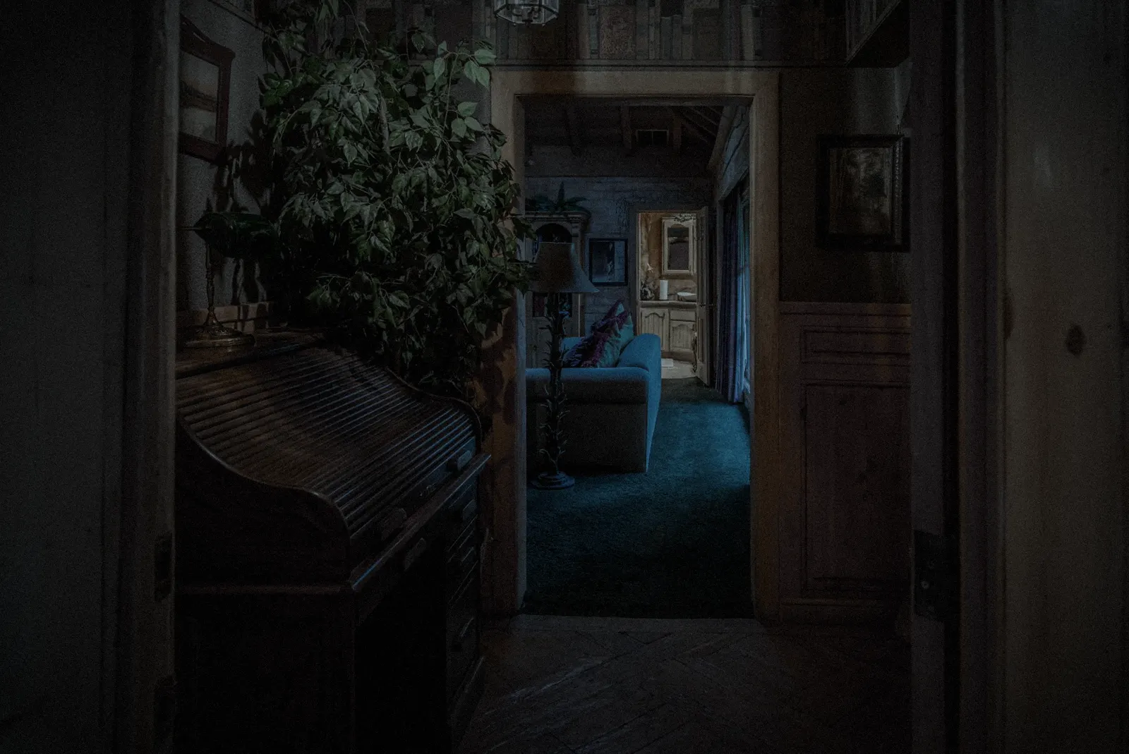 A dark hallway inside the manor