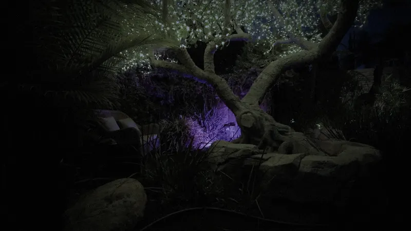 The great tree above the rocks, lit violet at night